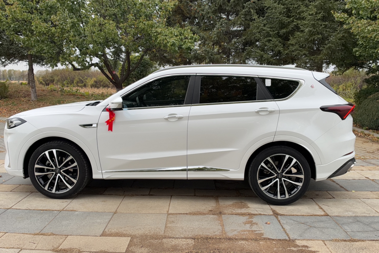 Jetour X70 PLUS 2022 imagem de carro #9