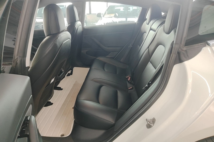 Tesla Model 3 2020 car image #13