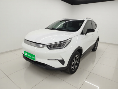 BYD Yuan Pro 2021 car image 