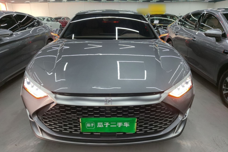 BYD Han 2021 immagine di auto #3
