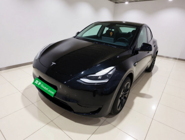 Tesla Model Y 2022 Tesla Model Y 2022 car image