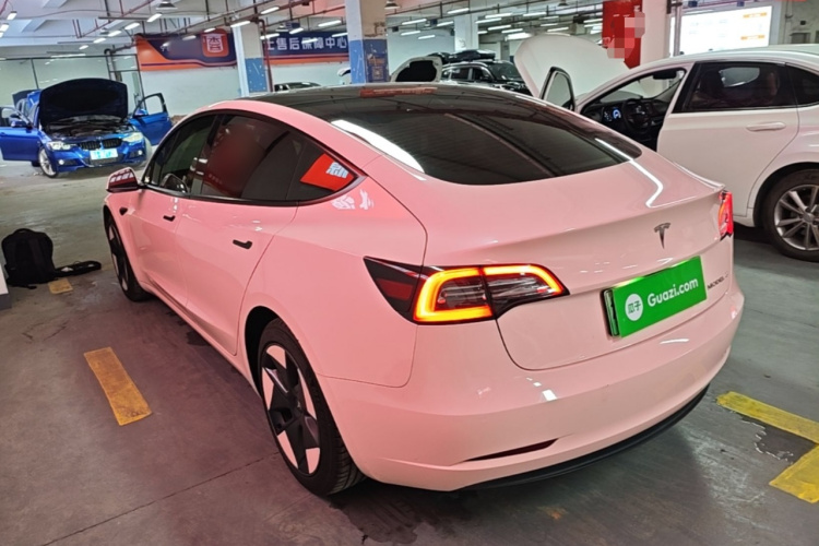 Tesla Model 3 2021 #5 Tesla Model 3 2021 car image #5