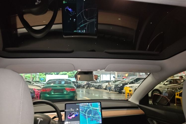 Tesla Model 3 2020 car image #18