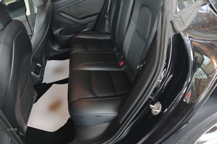 Tesla Model 3 2021 car image #19