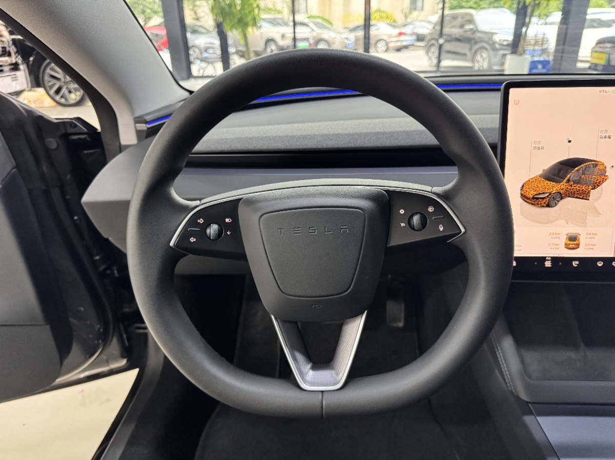 Tesla Model 3 2025 #3 Tesla Model 3 2025 car image #3