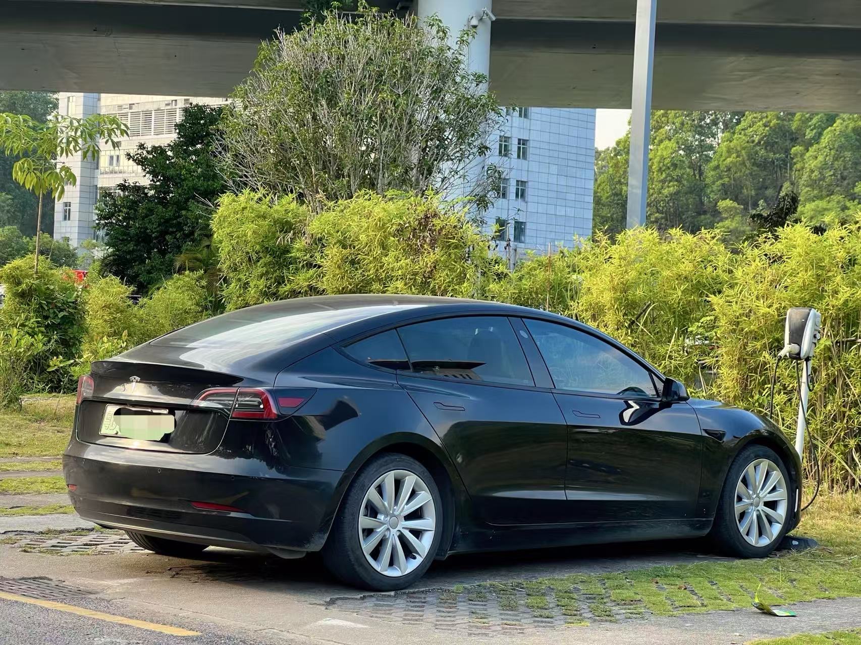 Tesla Model 3 2021 صورة سيارة #8