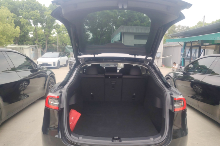 Tesla Model Y 2022 car image #19