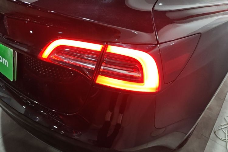 Tesla Model 3 2021 immagine di auto #8