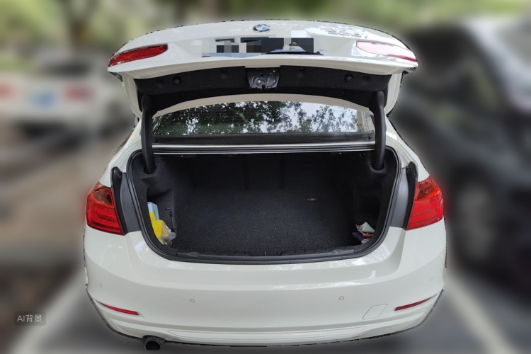 BMW 3 Series 2014 car image #21