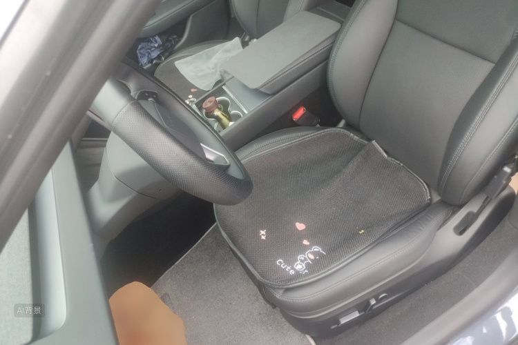 Tesla Model 3 2025 car image #17