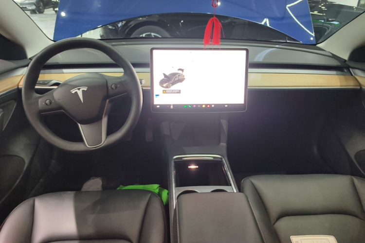 Tesla Model 3 2021 #10 Tesla Model 3 2021 car image #10