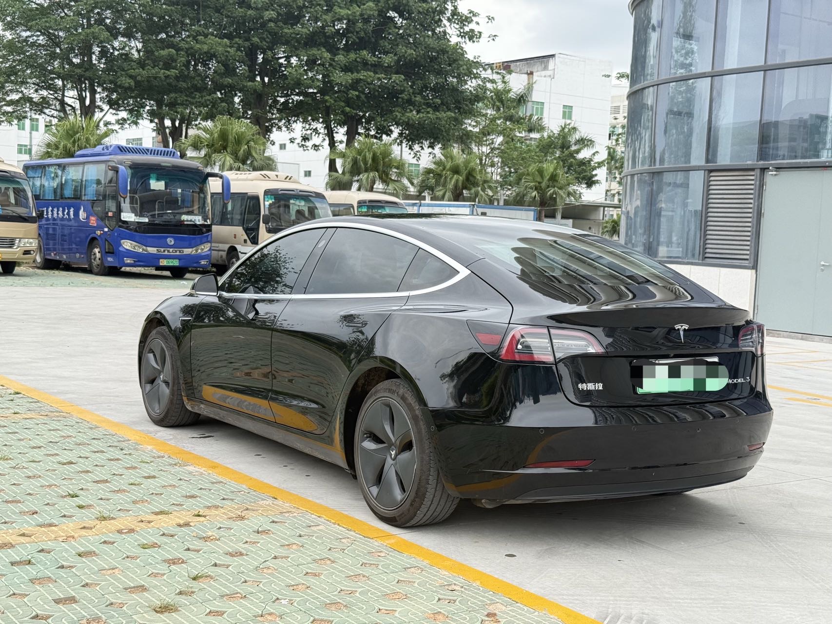 Tesla Model 3 2020 #7 Tesla Model 3 2020 car image #7