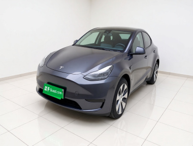 Tesla Model Y 2021 Tesla Model Y 2021 car image