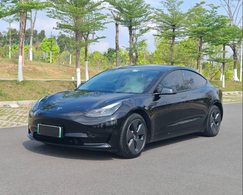 Tesla Model 3 2022 Tesla Model 3 2022 car image