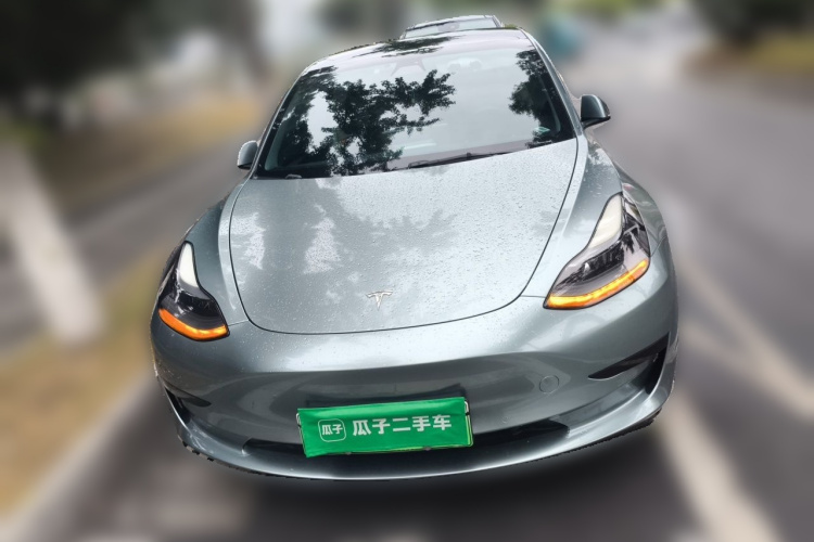 Tesla Model 3 2021 #3 Tesla Model 3 2021 immagine di auto #3