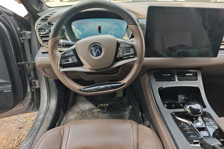 BYD Han 2022 imagen de coche #15