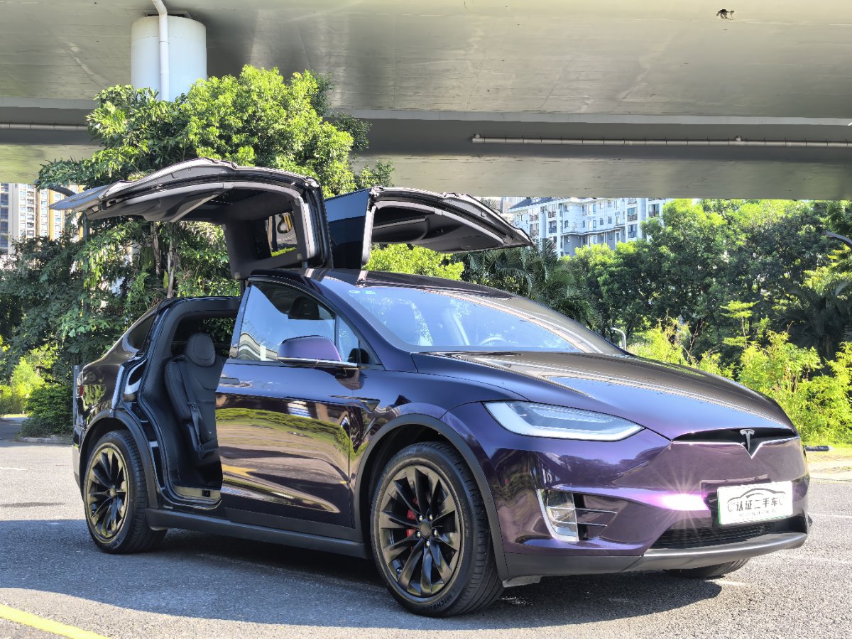 Tesla Model X 2021 car image #3
