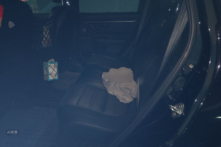 Honda CR-V 2020 car image #19