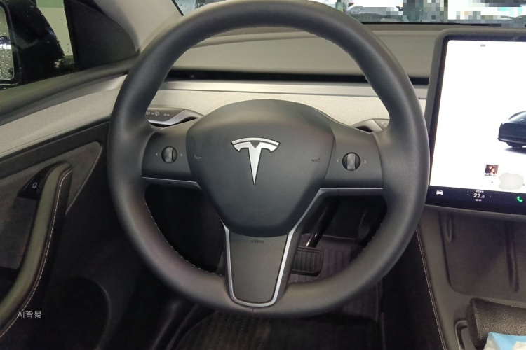 Tesla Model Y 2024 car image #12