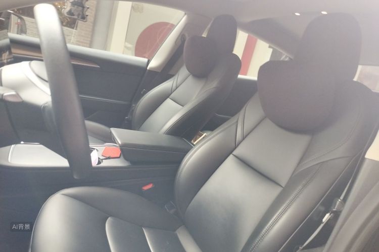 Tesla Model 3 2022 car image #17