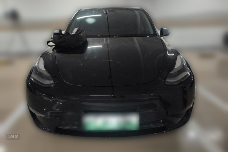 Tesla Model Y 2021 #3 Tesla Model Y 2021 car image #3