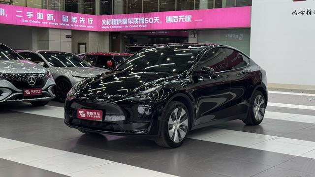 Tesla Model Y 2023 car image #19