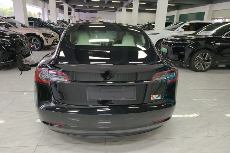 Tesla Model 3 2021 #6 Tesla Model 3 2021 car image #6