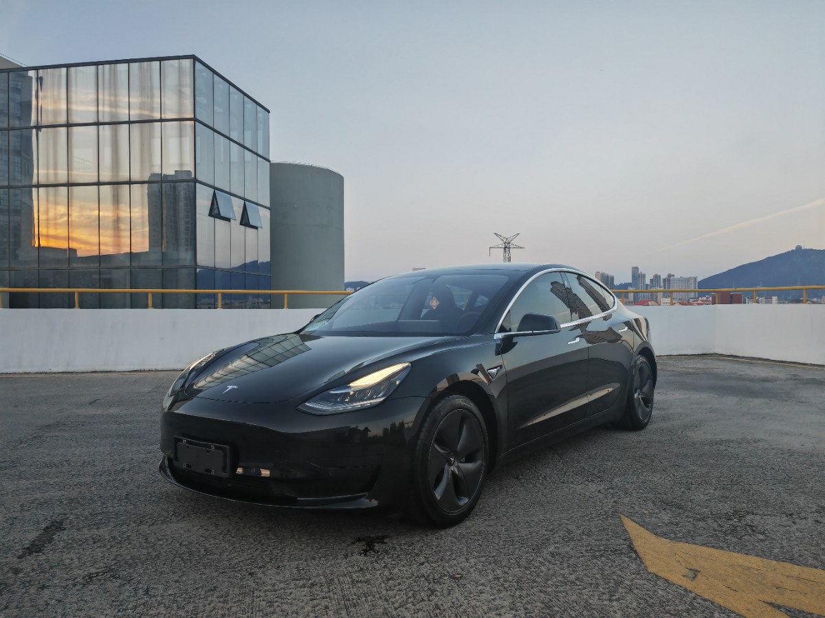 Tesla Model 3 2020 Tesla Model 3 2020 car image