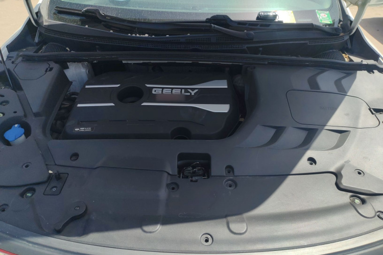 GEELY Emgrand GS 2019 imagen de coche #20