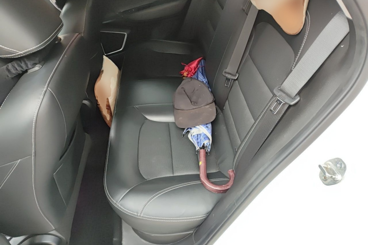 GEELY Emgrand GL 2021 car image #10