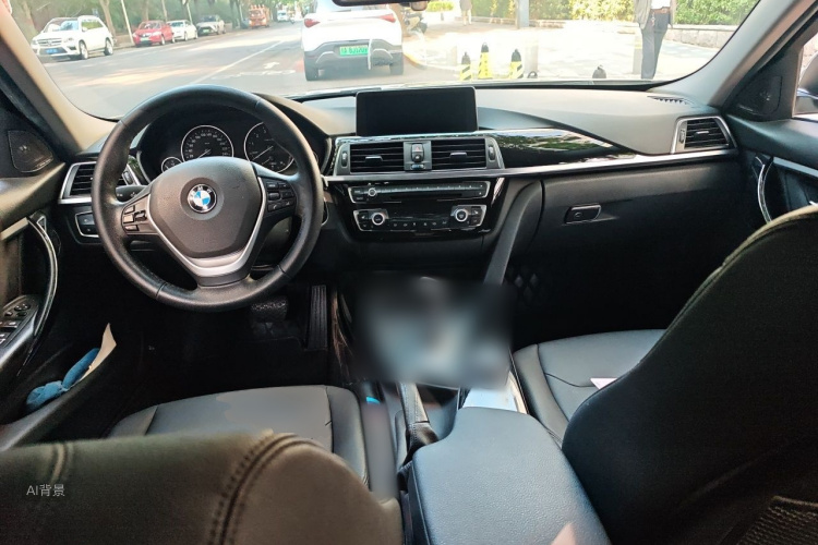 BMW 3 Series 2016 car image #11