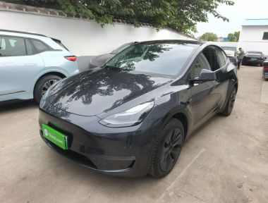 Tesla Model Y 2024 car image 