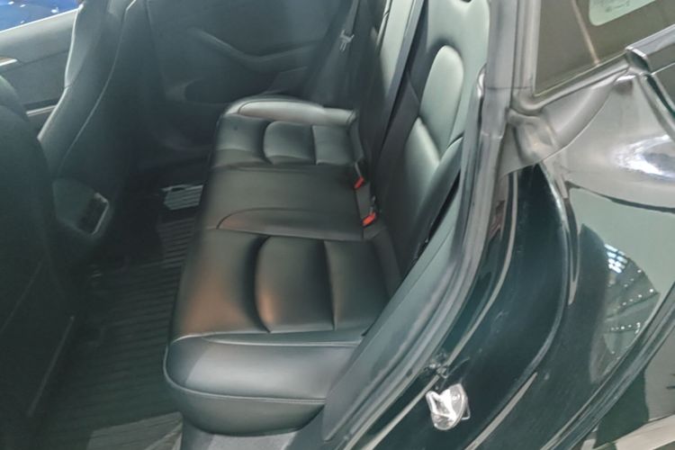 Tesla Model 3 2021 #17 Tesla Model 3 2021 car image #17