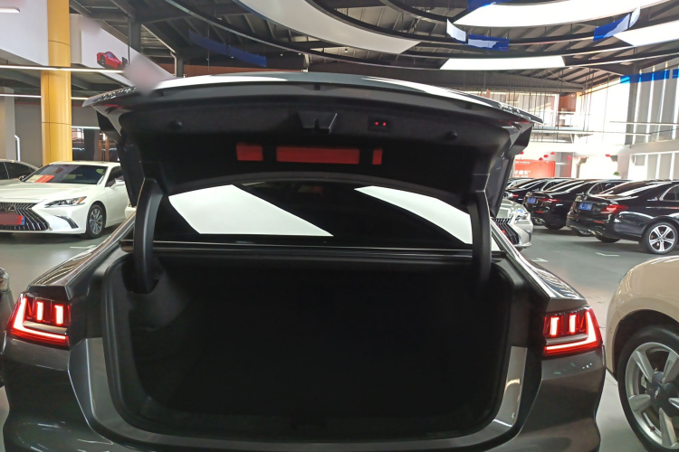 BYD Han 2021 imagen de coche #19