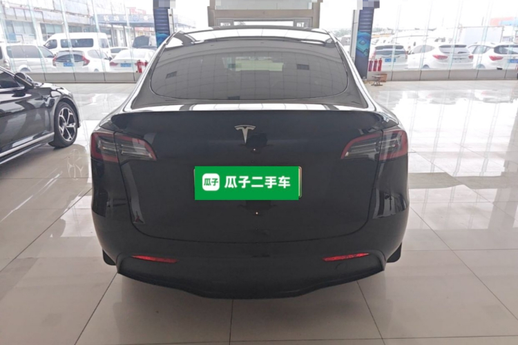 Tesla Model Y 2021 car image #6