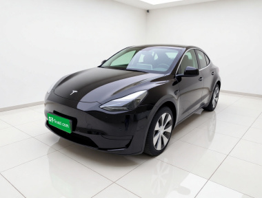 Tesla Model Y 2022 car image 