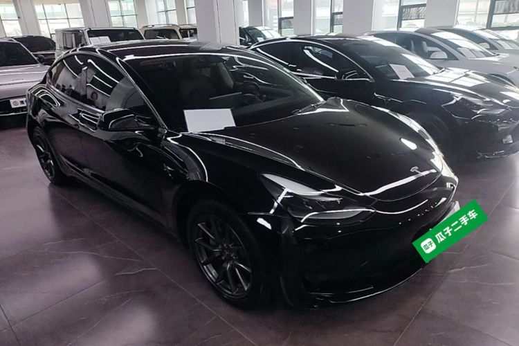 Tesla Model 3 2021 #4 Tesla Model 3 2021 car image #4