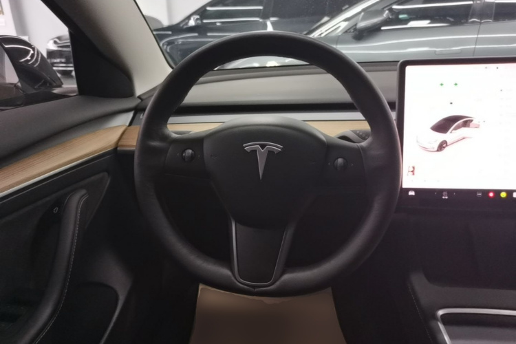 Tesla Model 3 2021 #11 Tesla Model 3 2021 car image #11