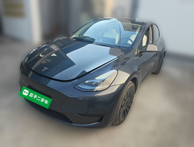 Tesla Model Y 2024 Tesla Model Y 2024 car image