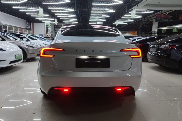 Tesla Model 3 2024 #6 Tesla Model 3 2024 car image #6