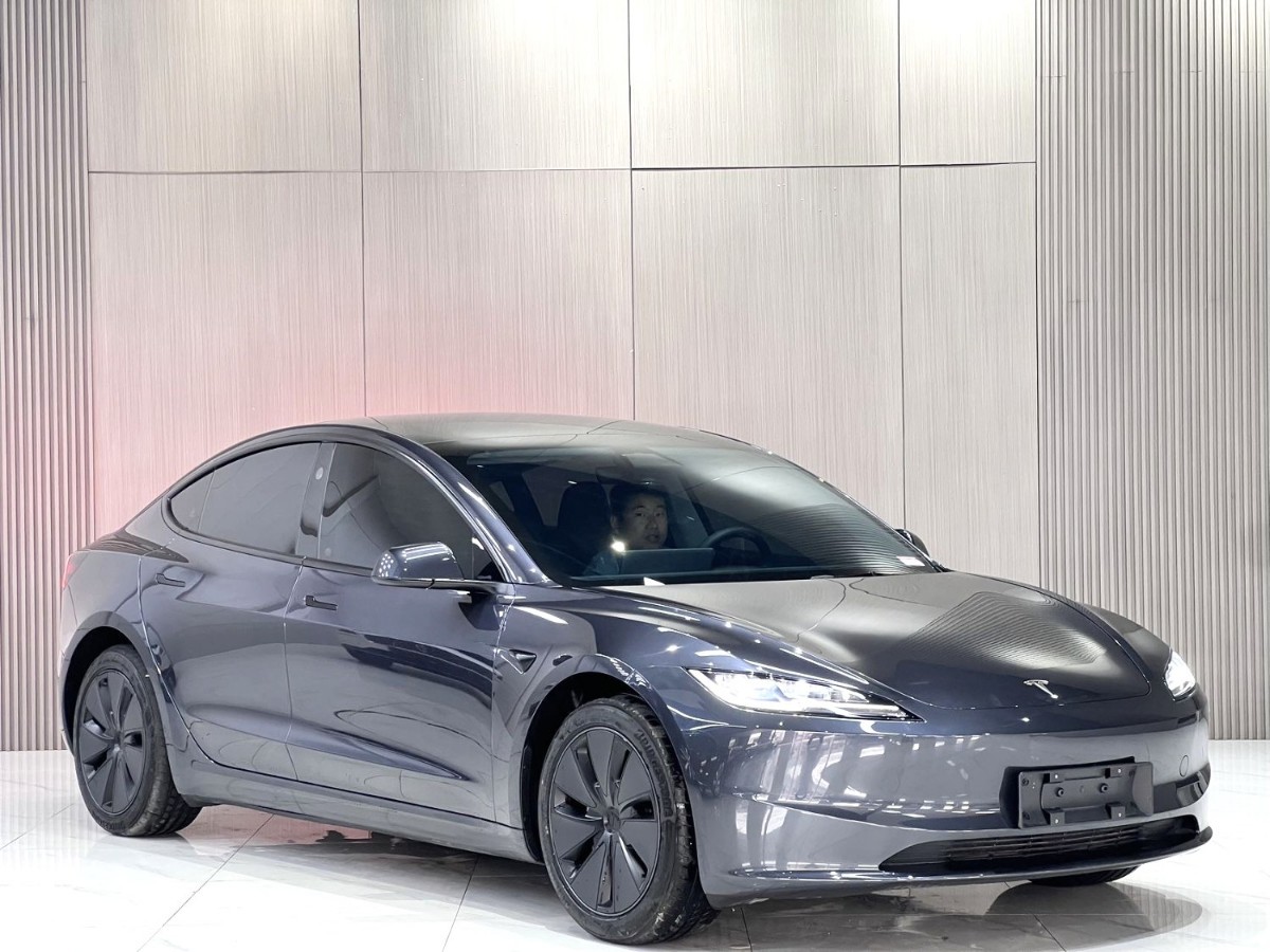 Tesla Model 3 2025 car image #3
