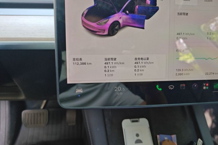 Tesla Model 3 2021 #8 Tesla Model 3 2021 car image #8