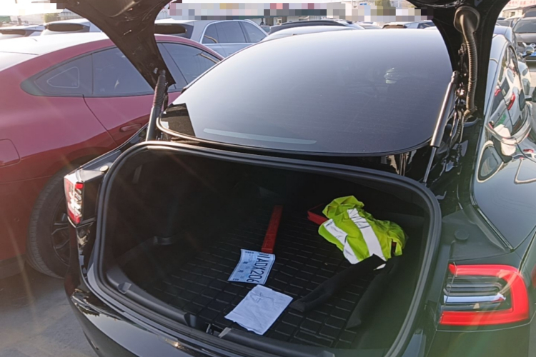 Tesla Model 3 2021 #21 Tesla Model 3 2021 изображение автомобиля #21