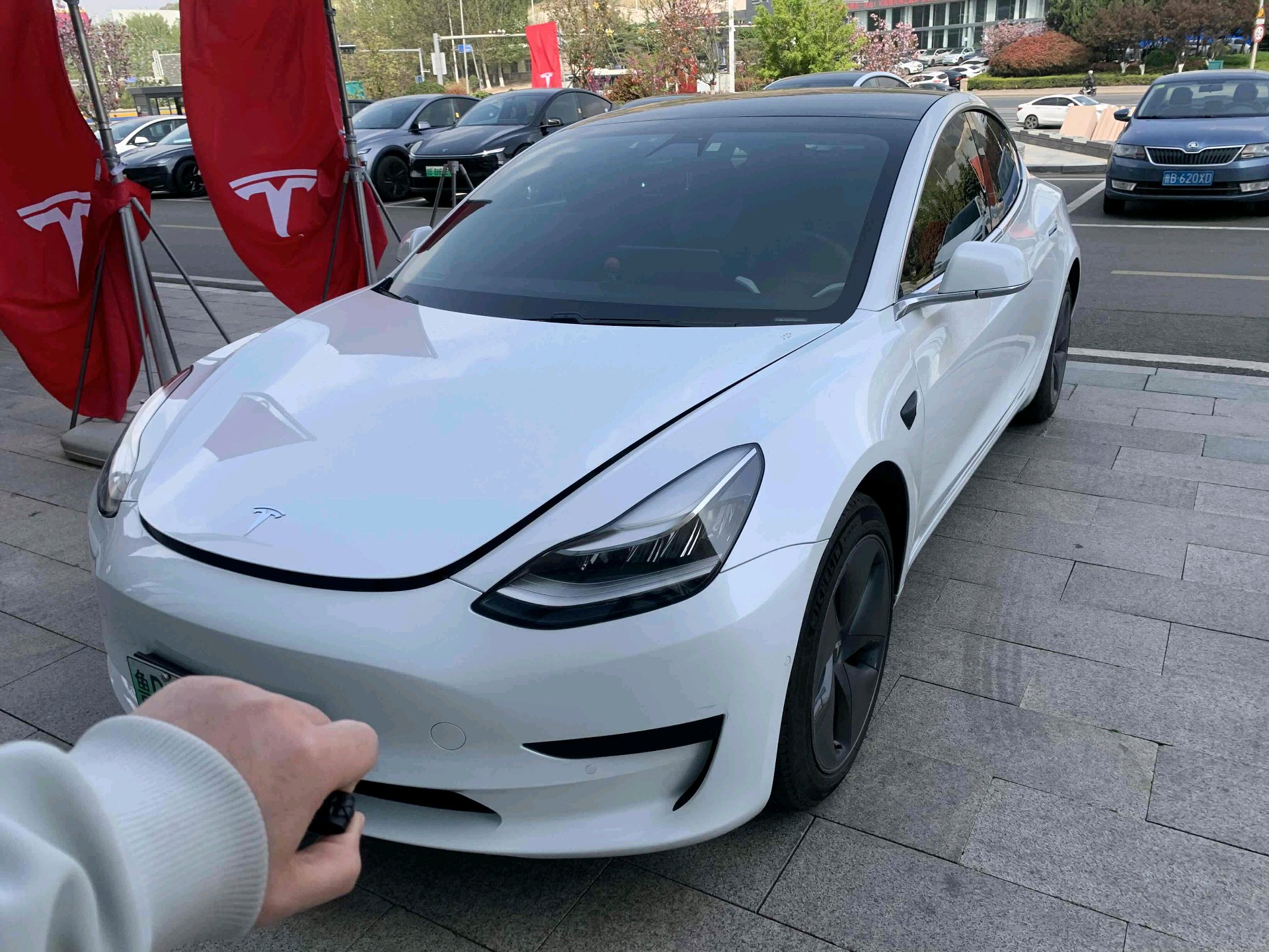 Tesla Model 3 2020 Tesla Model 3 2020 car image