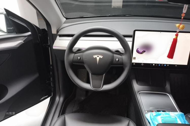 Tesla Model Y 2024 #12 Tesla Model Y 2024 car image #12