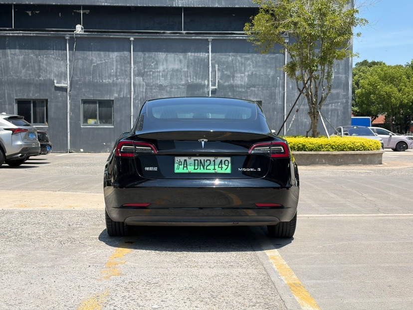 Tesla Model 3 2020 #4 Tesla Model 3 2020 car image #4