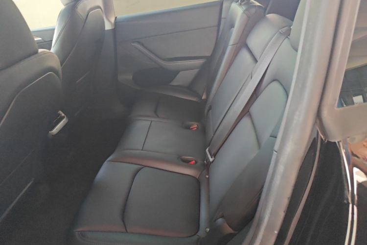 Tesla Model Y 2023 #13 Tesla Model Y 2023 car image #13