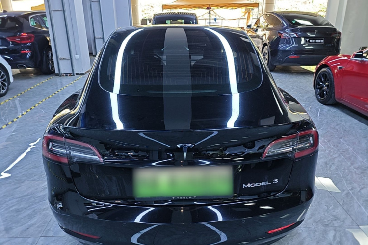 Tesla Model 3 2020 #6 Tesla Model 3 2020 car image #6