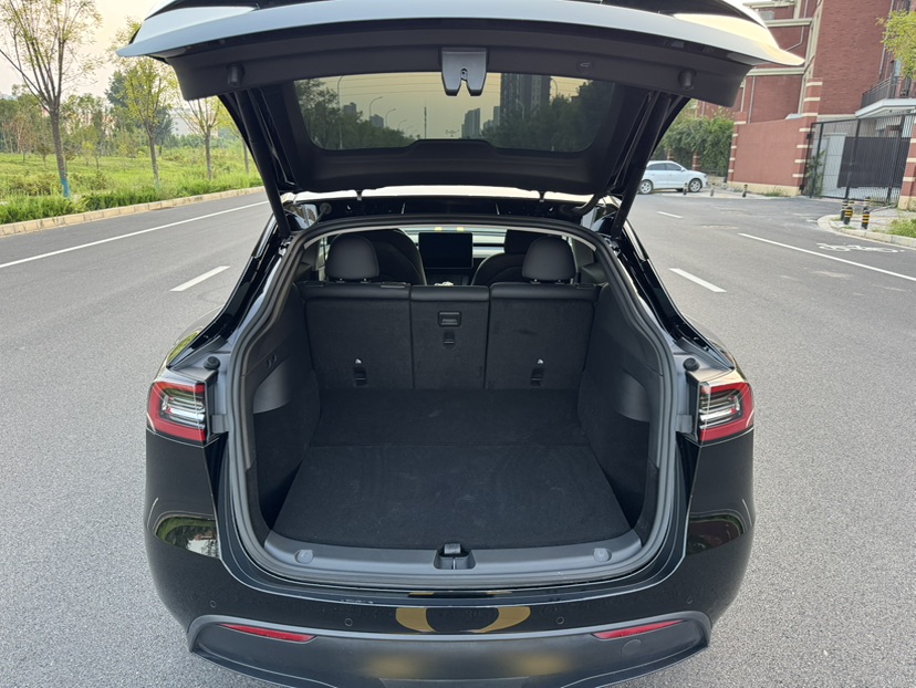 Tesla Model Y 2021 #9 Tesla Model Y 2021 car image #9