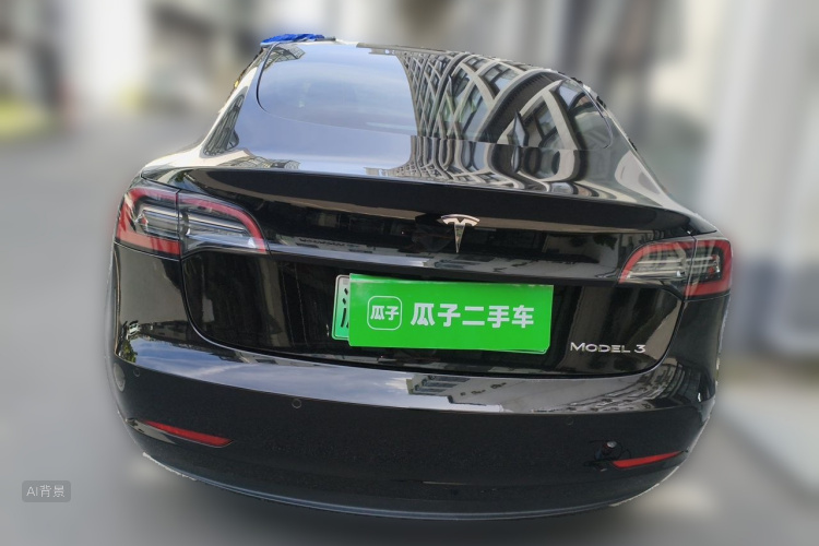Tesla Model 3 2021 car image #6
